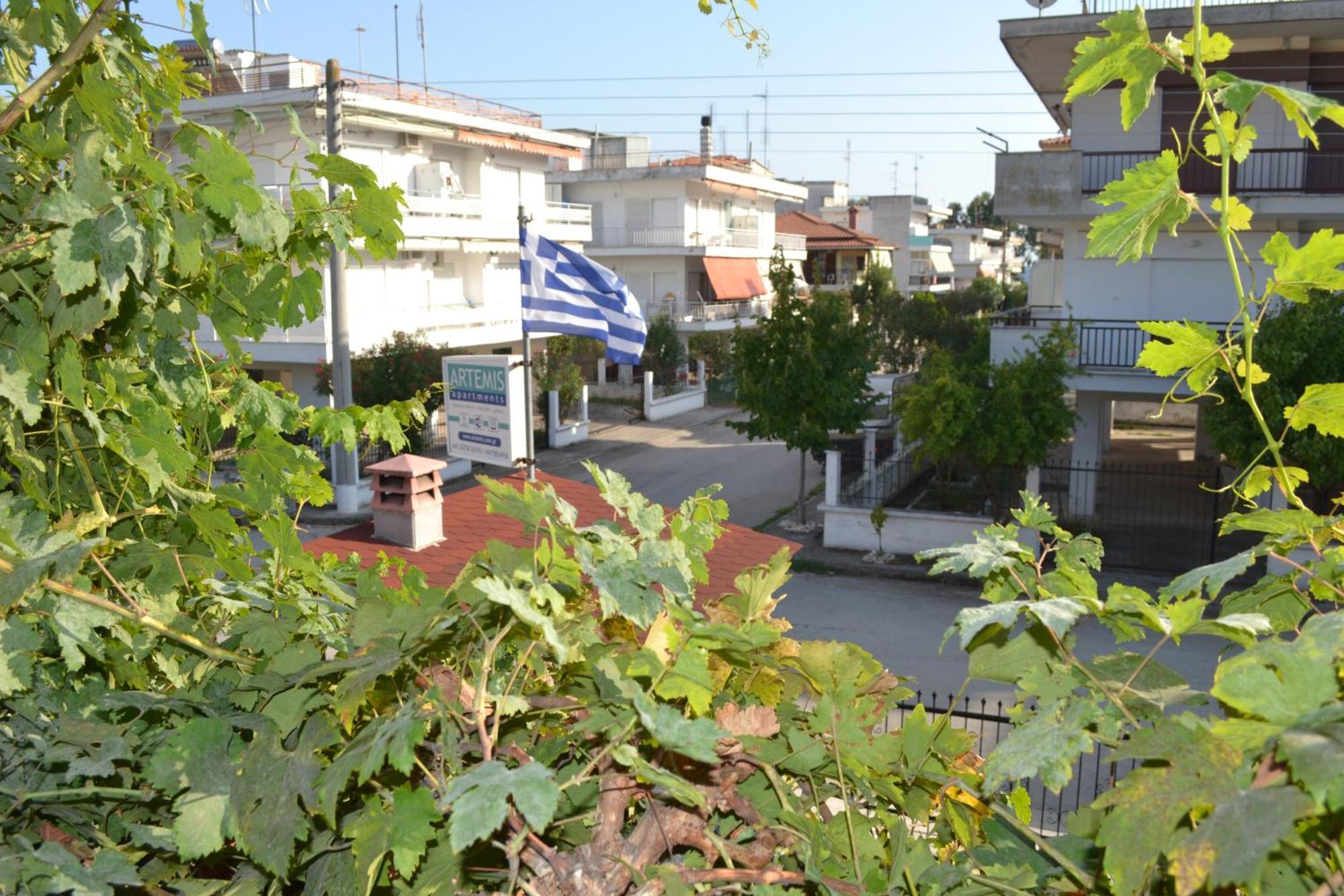 Artemis Apartments Paralia Dionisiou Habitación foto